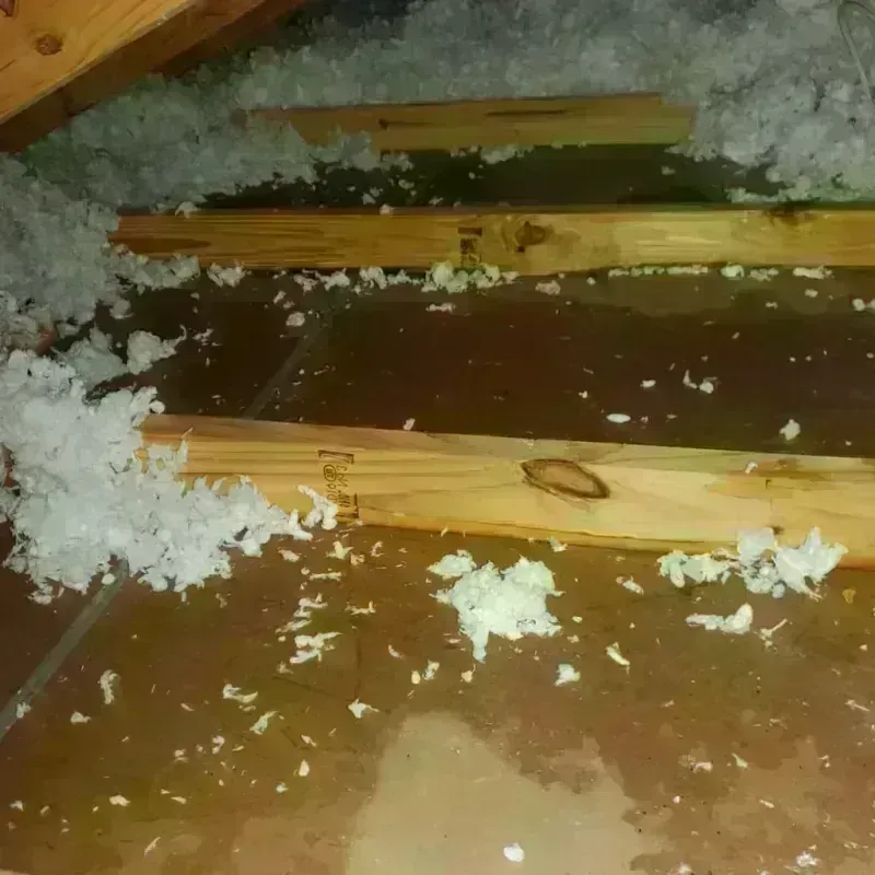 Attic Water Damage in New City, IL