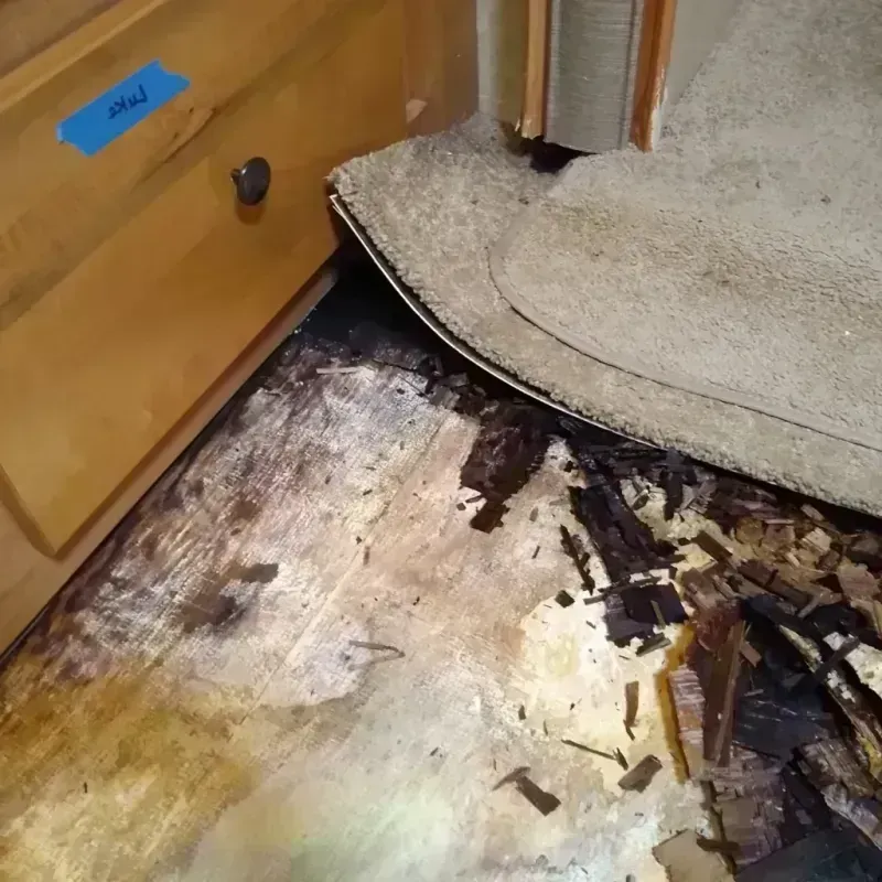 Wood Floor Water Damage in New City, IL